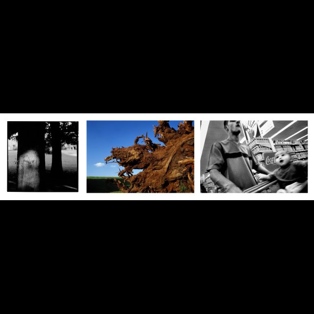 Archival digital print on Hahnmuhle Photo Rag, 308 gsm<br>
Paper size: 27 1/2” x 99 3/4” / 740 x 2577 mm