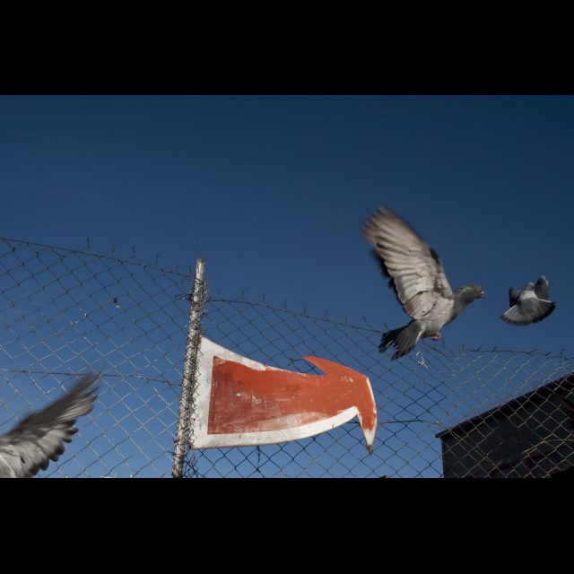 Archival digital print on Hahnemuhle Photo Rag<br>
40.67 x 60.9 cm<br>
Edition: 5 + 2 AP Series: A City Refracted