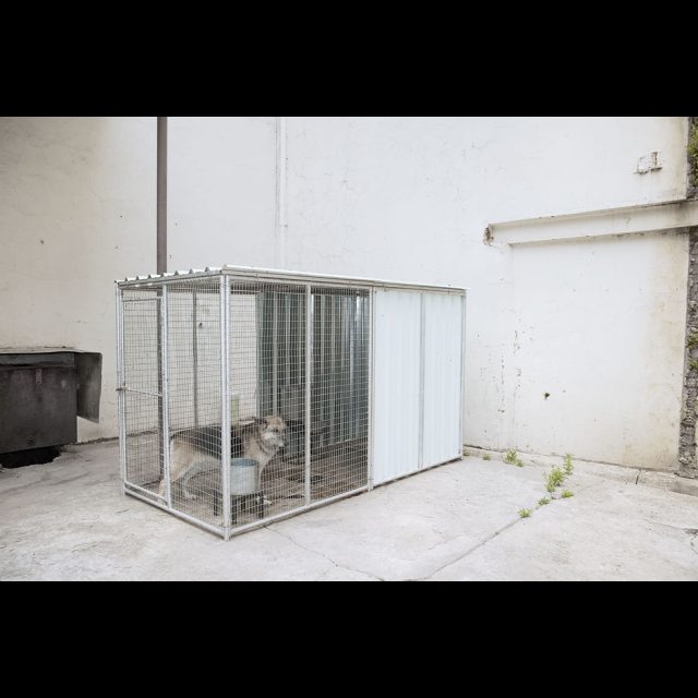 Archival digital print on Hahnemuhle Photo Rag<br>
40.67 x 60.9 cm<br>
Edition: 5 + 2 AP Series: A City Refracted