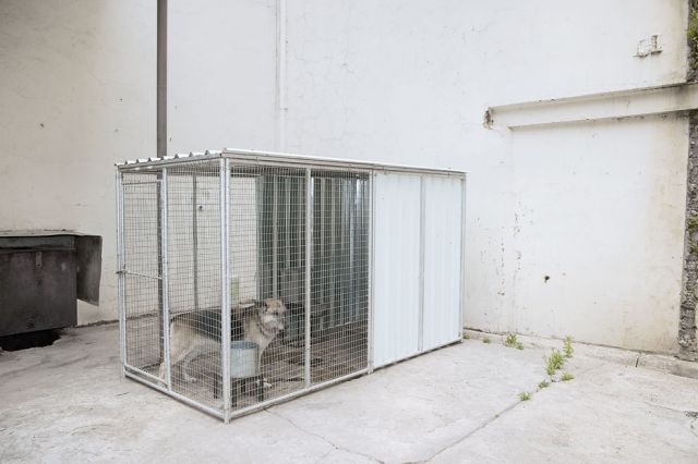 Archival digital print on Hahnemuhle Photo Rag<br>
40.67 x 60.9 cm<br>
Edition: 5 + 2 AP Series: A City Refracted