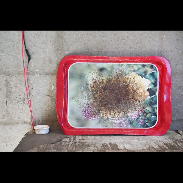 Archival digital print on Hahnemuhle Photo Rag<br>
Paper size: 28 x 40 cm<br>
Print size: 20 x 30 cm<br>
Edition: 5 + 2 AP