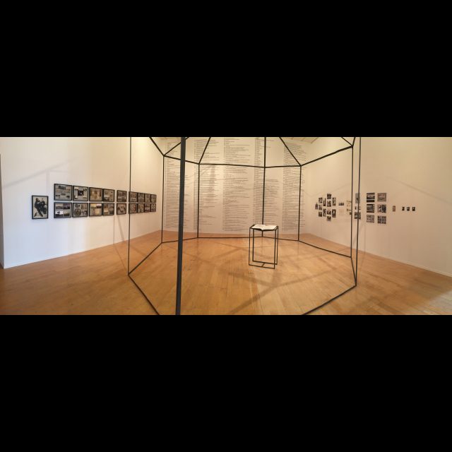 Hunting & Collecting, 2015. Installation at the 13th Lyon Biennale (macLYON)<br>
<i>The Album,</i> 20 digital photographs , each 40 x 55 cm /16” x 22” <br>
Metal sculpture, 400 x 550 cm<br>
<i>Hunting & Collecting</i>, 32-page artist’s book (37.5 x 31 cm)<br>
Photographic print listing North Kivu and South Kivu NGO’s<br>
Archival photographs courtesy American Museum of Natural History, New York and Royal Museum for Central Africa, Tervuren.<br>
Series of 3 +1AP