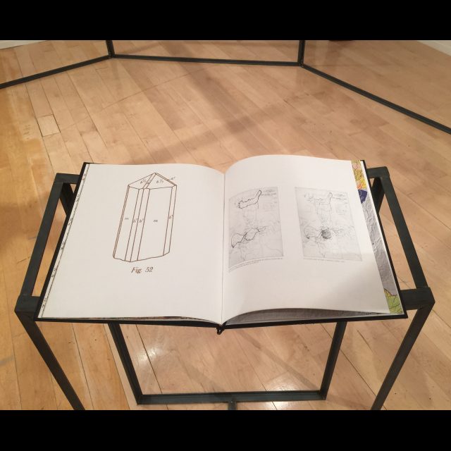Installation at 13th Lyon Biennale (macLYON)<br>
Hunting & Collecting, 32-page artist’s book (37.5 x 31 cm)