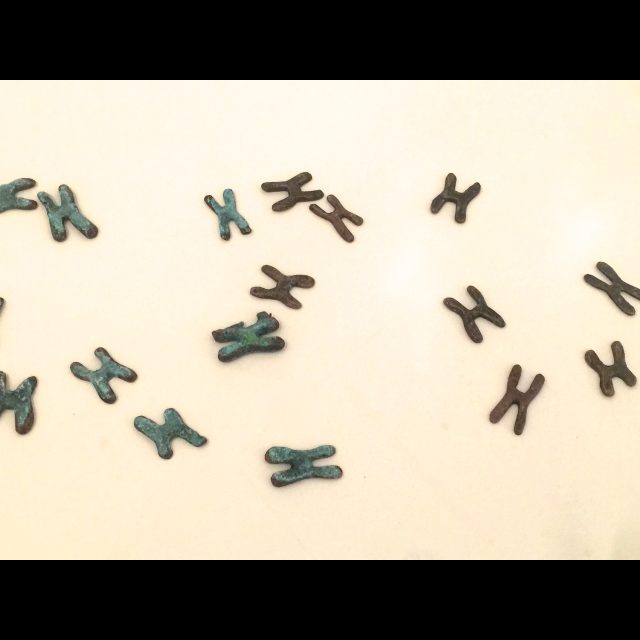 Tales of the Copper Cross Garden: Episode I (2017), installation at documenta 14, Athens<br>
Video, photographs, copper plate, copper crosses, and coins