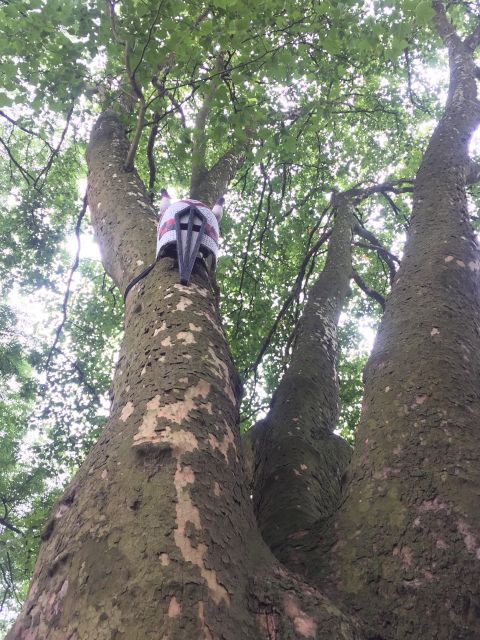 Skulptur Projekte Münster, Germany