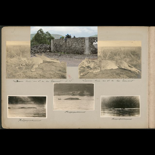 <i>The Album</i>, 2015 (Pauwel's Album, p.4 installation detail)<br>
Installation of 20 digital photographs on Hahnemüle PhotoRag<br>
40 x 55 cm /16” x 22” <br>
Edition: 5 + 2 AP