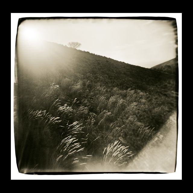 <i>Waterline #19</i>, 2002<br>
Digital light jet print<br>
Paper size: 47.2" x 47.2"; Image size: 43.3" x 41"<br>
Ed#:15<br>
Also: Paper size: 17 x 17" Image size 12 3/4" x 13 1/2"<br>
Ed#:25