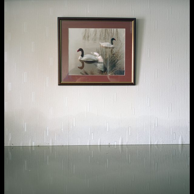 27 1/2” x 27 1/2 / 70 x 70 cm<br>
48” x 48” / 122 x 122 cm<br>
71” x 71” / 180 x 180 cm<br>
Edition: 3 + 1 AP