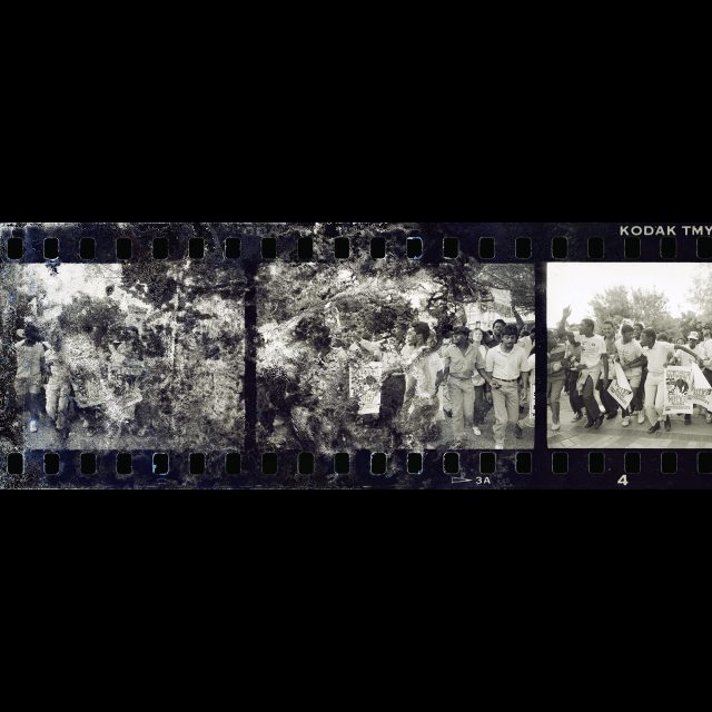 Digital print from water- and mould-damaged negative on Hahnemüle Fine Art Bayta paper<br>
100 x 266.4 cm; Edition: 3 + 2 AP<br>
45 x 120 cm; Edition: 5 + 2 AP