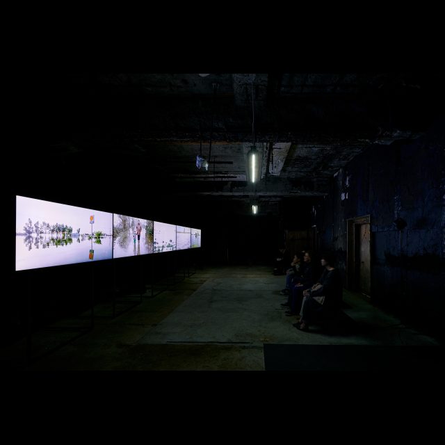 Series: Drowning World<br>
5-screen sound and video installation<br>
Edition: 5 + 2 AP