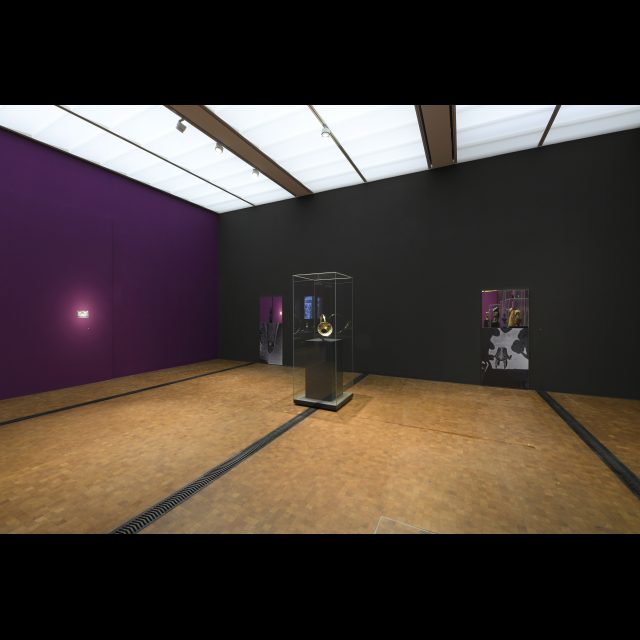 Installation view. <i> Hunting horn with scarifications by the coppersmith Guido Clabots, Dinant, Belgium, </i> copper. <br>Mirror works with <i> photo of Hans Himmelheber and X-ray tomography of a power figure acquired by him</i>, 2019. <br> Commissioned by the Rietberg Museum, Zurich.<br> photo: Rainer Wolfsberger