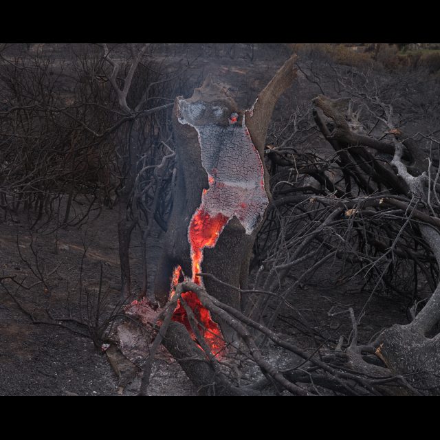 Series: Burning World<br> chromogenic print on Fuji Crystal Archive paper<br>
Available in 3 sizes:<br>
30 x 24 cm / E. 4 + 1 AP
60 x 80 cm / E. 3 + 1 AP
100 x 80 cm / E. 2 + 1 AP
Edition of 9 plus 4 artist's proofs