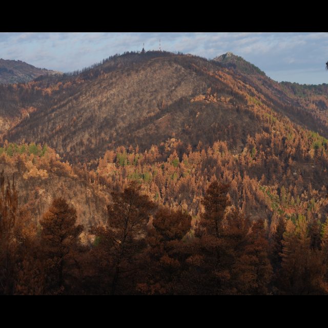 Series: Burning World<br> chromogenic print on Fuji Crystal Archive paper<br>
Available in 3 sizes:<br>
30 x 24 cm / E. 4 + 1 AP
60 x 80 cm / E. 3 + 1 AP
100 x 80 cm / E. 2 + 1 AP
Edition of 9 plus 4 artist's proofs