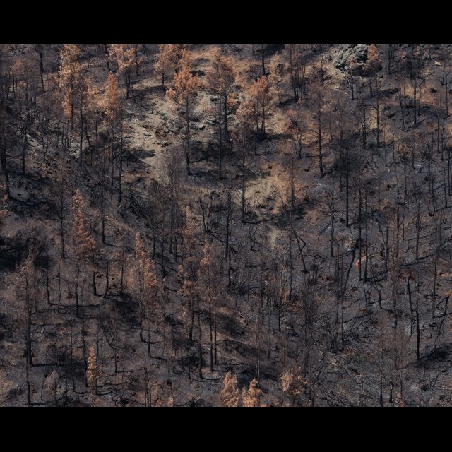 Series: Burning World<br> chromogenic print on Fuji Crystal Archive paper<br>
Available in 3 sizes:<br>
30 x 24 cm / E. 4 + 1 AP
60 x 80 cm / E. 3 + 1 AP
100 x 80 cm / E. 2 + 1 AP
Edition of 9 plus 4 artist's proofs