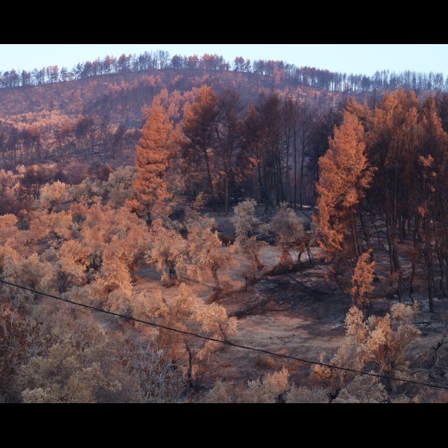 Series: Burning World<br> chromogenic print on Fuji Crystal Archive paper<br>
Available in 3 sizes:<br>
30 x 24 cm / E. 4 + 1 AP
60 x 80 cm / E. 3 + 1 AP
100 x 80 cm / E. 2 + 1 AP
Edition of 9 plus 4 artist's proofs