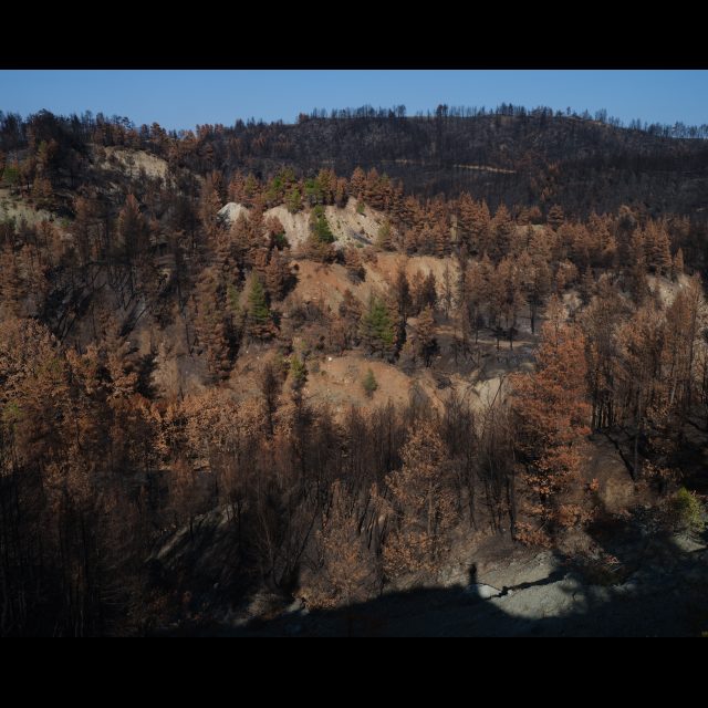 Series: Burning World<br> chromogenic print on Fuji Crystal Archive paper<br>
Available in 3 sizes:<br>
30 x 24 cm / E. 4 + 1 AP
60 x 80 cm / E. 3 + 1 AP
100 x 80 cm / E. 2 + 1 AP
Edition of 9 plus 4 artist's proofs