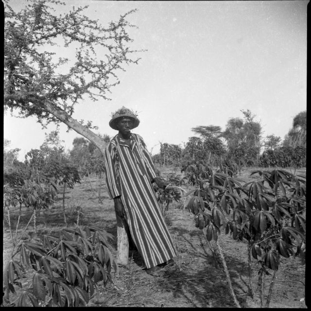 Gelatin Silver Print <br>
Image: 14" x 14" in. (35.5 x 35.5 cm)<br>
Paper: 17" x 17"(43.2 x 43.2 cm)<br>
Edition of 7 + 3 AP