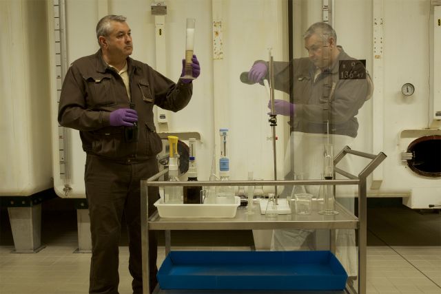 Series: Manu solerti <br> Pigment print on Hahnemühle paper <br>
50 x 75 cm | 19¾" x 29½" <br> Edition: 4